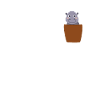 Hippo in chest pocket