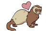 Furet