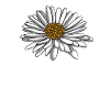 Hobby Jardinier Jardinier Fleur d’Oie
