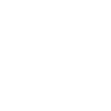 Evolution Vermesser