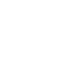 Evolution Zollbeamter
