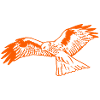 Falcon in orange