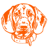 BGS Portrait - orange