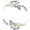 Kräuterhexe
