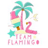 Équipe Flamingo