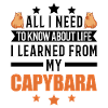 Capybara Wasserschwein Capibara