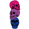 Crâne bisexuel Crâne bisexuel