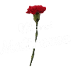 Merci maîtresse cadeau reconnaissance institutrice