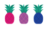 Bisexual Pineapple Bisexual Pineapple