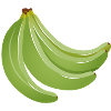 four bright green unripe bananas