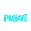 Pumi