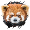 Red panda