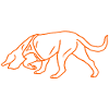 Schweisshund in Orange