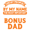 Bonus Far Bonus Far Stedfar Bonus Papa