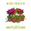 Carnivorous plants Venus flytrap