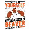 Beaver Beaver Dam Beaver