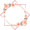 Ambre