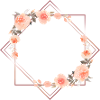 romy