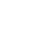 Certified Concert Junkie