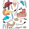 General Surgery