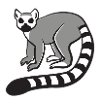 Small lemur