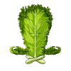 Funny Salad Meditating Lettuce