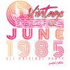 Year of construction 1985 June
