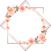 Cocotte