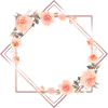 Chipie
