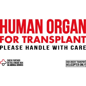 Human Organ - Lunchbox