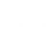Charm bolts