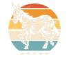 Esel Donkey Tier
