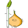 Leek and onion pair