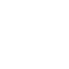 Lawyer