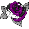 Ace Pride Rose