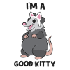 Possum Pun Opossum I'm a Good Kitty
