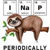 I nap periodically funny sloth saying