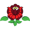 Hungarian rose