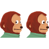 Funny monkey puppet meme