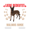 Echte Malinois Liebe