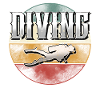 Diving Divers