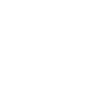 Offizieller Dino Experte, Dinosaurier