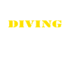 manger sommeil plongée répéter