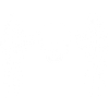 White winged skull