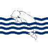 Beluga