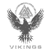 VIKINGS Nordic Raven och Valknut