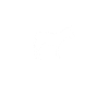 Donkey Saying