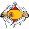 spanish flag proud spain