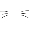 Schnurrhaare