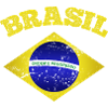 BRASIL Retro Brazilian Flag